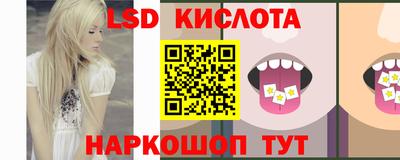 дмт Владимир